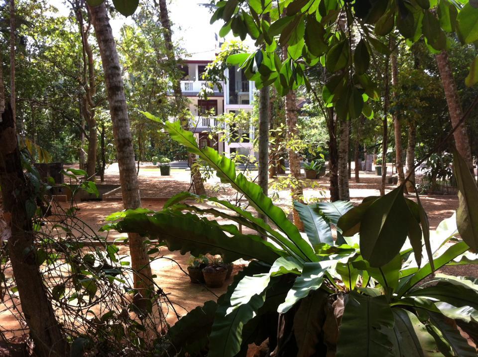 Gem Field Rest Bed & Breakfast รัตนปุระ ภายนอก รูปภาพ